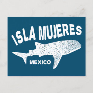 Dyka av valhaj   Isla Mujeres Vykort