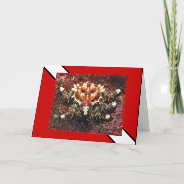 Dyka Heart Crab - kort (Framsida)