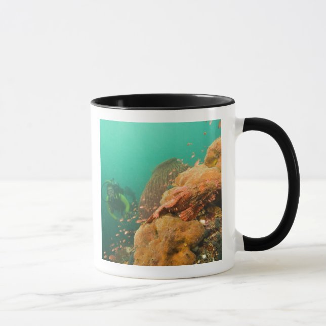 dykande dykare & Skorpionfisk Scorpanopsis Mugg (Höger)