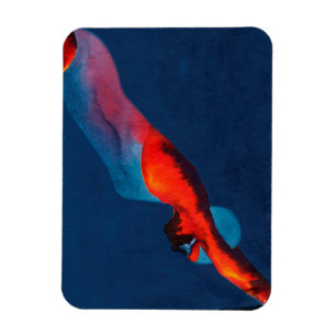 Dykare 2011 magnet