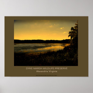 DYKE MARSH WILDLIFE RESERVE POSTER