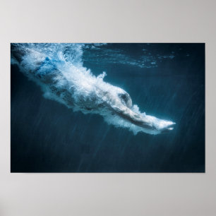 dykman poster
