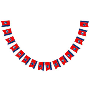 Dynamic Tennessee Statlig flagga Graphic på en