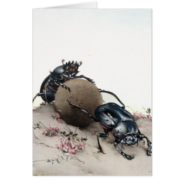 Dynga Bettle Hälsningskort (Framsidan)