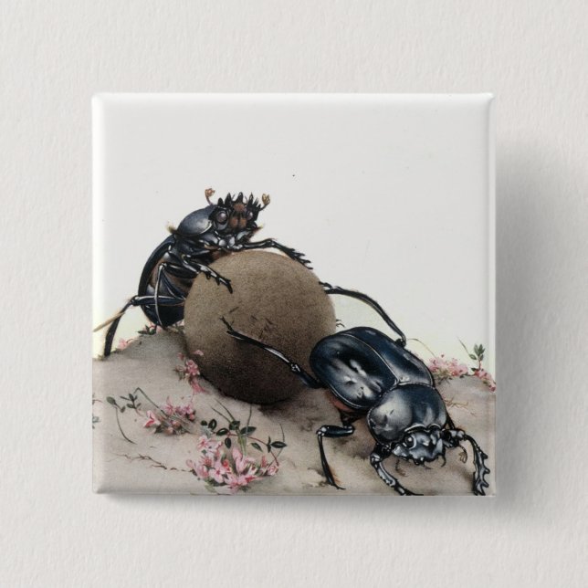 Dynga Bettle Knapp (Framsida)