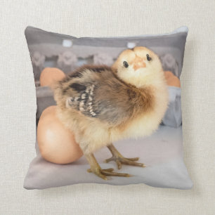 Dyrbar babychick och ägg kudde