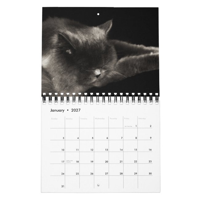 Dyrbar kalender för katter 2012 (Jan 2027)