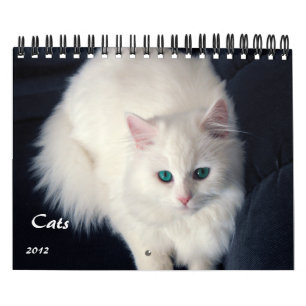 Dyrbar kalender för katter 2012