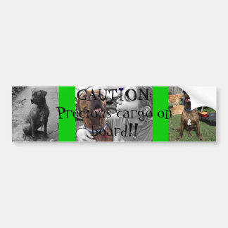 Dyrbar last bildekal