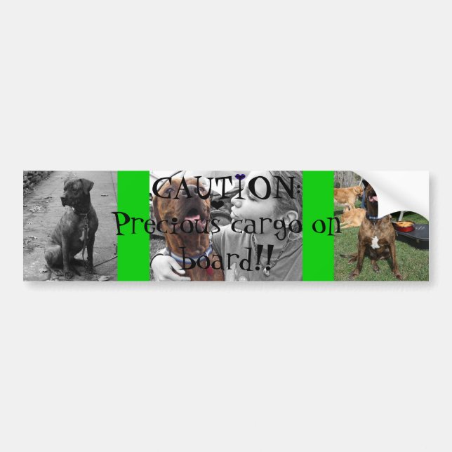 Dyrbar last bildekal (Framsidan)