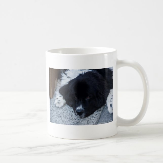 Dyrbara Landseer Newfoundland gåvor Kaffemugg (Höger)