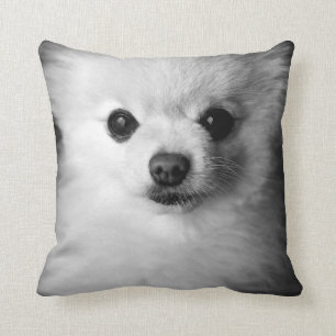 Dyrbara Pomeranian kudder Kudde