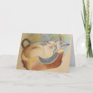 Dyrbara Tonkinese & Romeo Kort