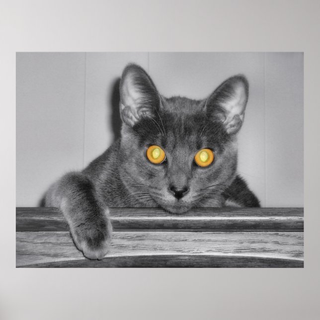 Dyster guldtryck poster (Framsidan)