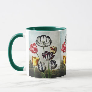 Dyster Regency-stil Flerfärgade Tulpaner Mugg