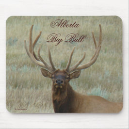 E10 Bull Elk i Velvet Head Musmatta