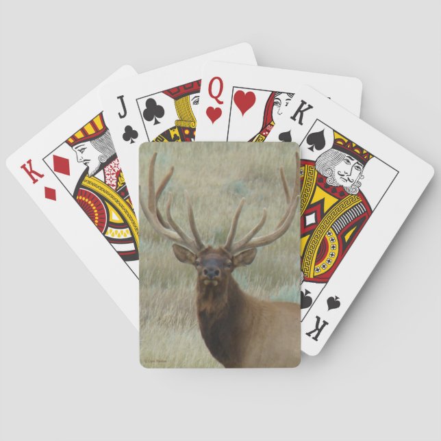 E10 Bull Elk in Velvet Head Shot Casinokort (Baksidan)
