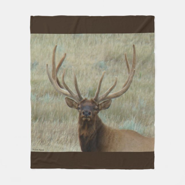 E10 Bull Elk in Velvet Head Shot Fleecefilt (Framsidan)