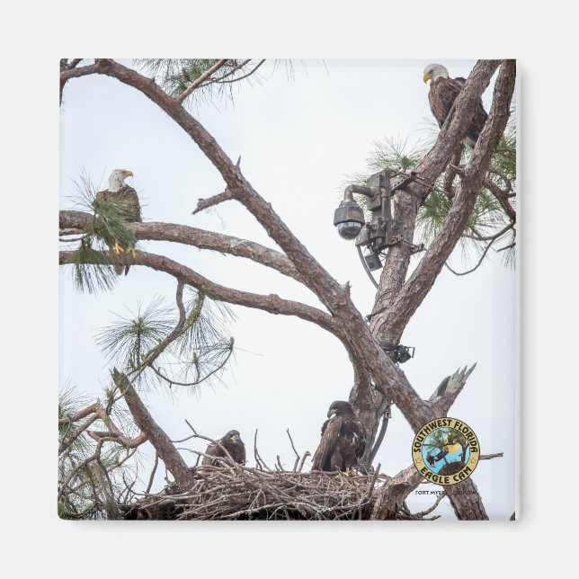 E10 & E11 + Familjemagnet Magnet (Framsidan)