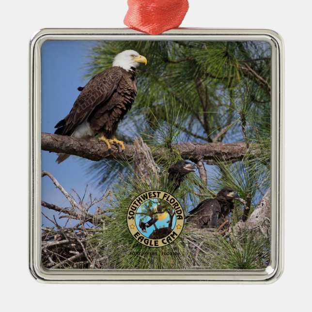 E10 E11 & familjhelgdagprydnad Julgransprydnad Metall (Framsidan)