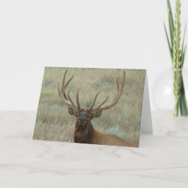 E10t Bull Elk in Velvet Head Shot Kort