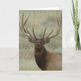 E10t Bull Elk in Velvet Head Shot Kort