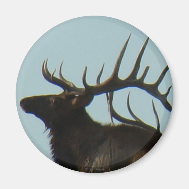 E11 Bull Elk Silhouette Head Shot Magnet (Framsidan)