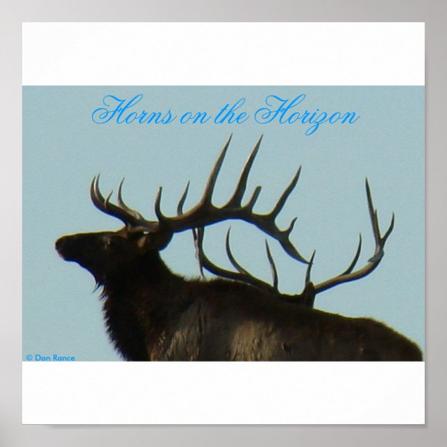 E11 Bull Elk Silhouette Head Shot Poster (Framsidan)