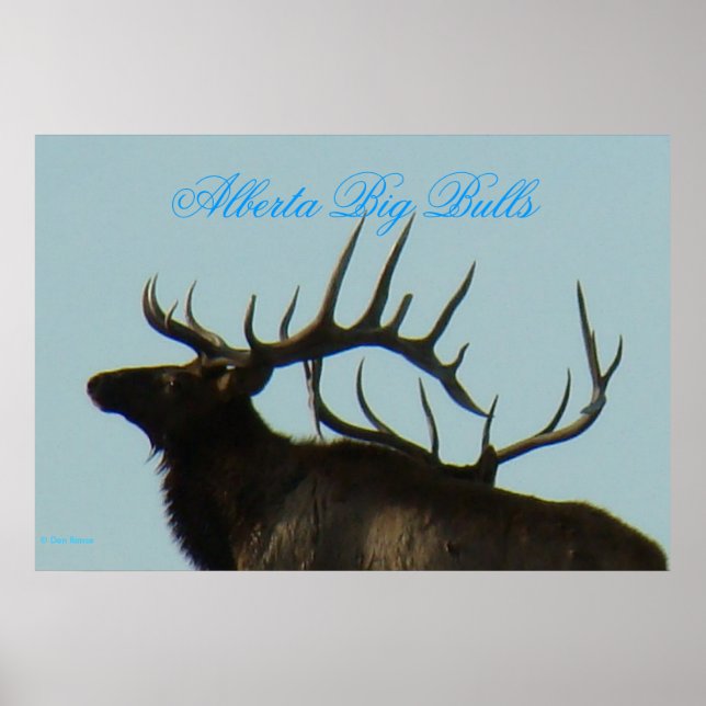 E11 Siluett av tjurälg Horn på horisonten Poster (Framsidan)