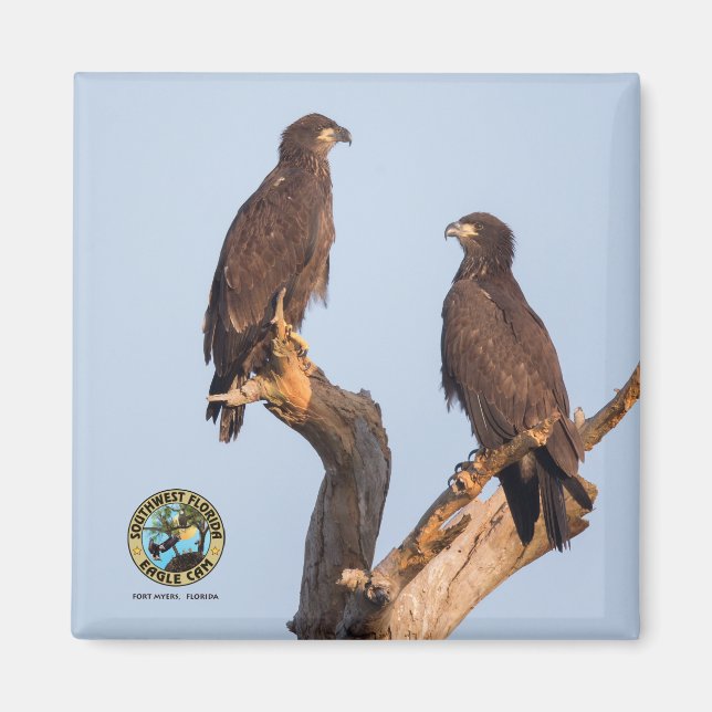 E12 & E13 Magnet (Framsidan)