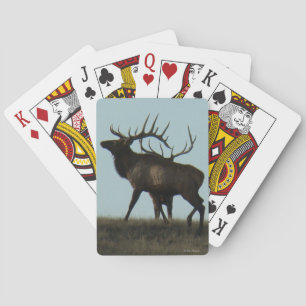 E14 Silhuett av tjurälg Horn vid horisonten Casinokort