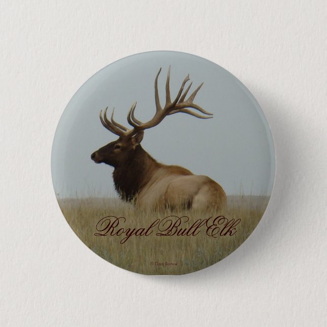 E15 Bull Elk Big Bull Lay Knapp (Framsida)