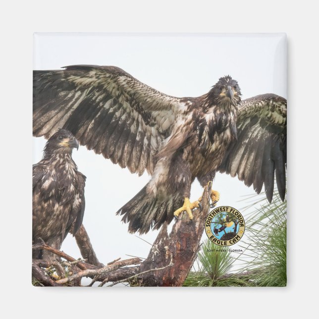 E15 E16 Minnesmagnet Magnet (Framsidan)