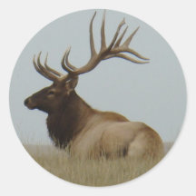 E15 Elkbulle
