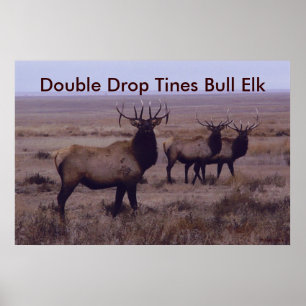 E19 Nedfällda Dubblor för Bull Elk Poster
