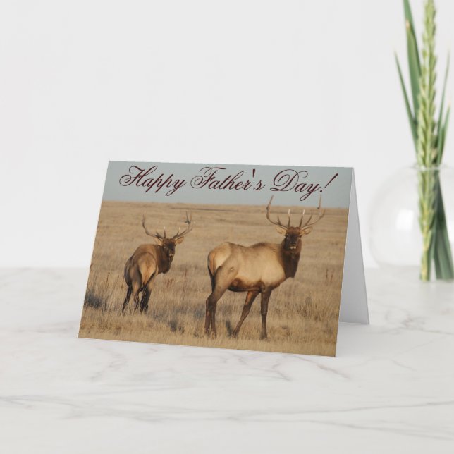E1 Bull Elk Kort (Framsida)