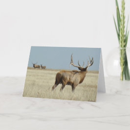 E20 Bull Elk Challenger Kort