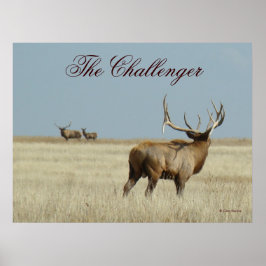 E20 Elkron Challengeren Poster