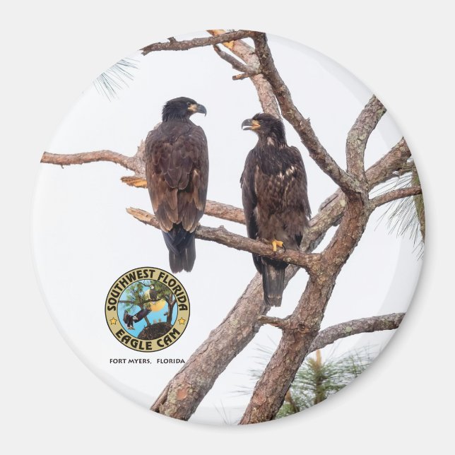 E21 & E22 Bästa buffertsäsongen 11 Magnet (Framsidan)