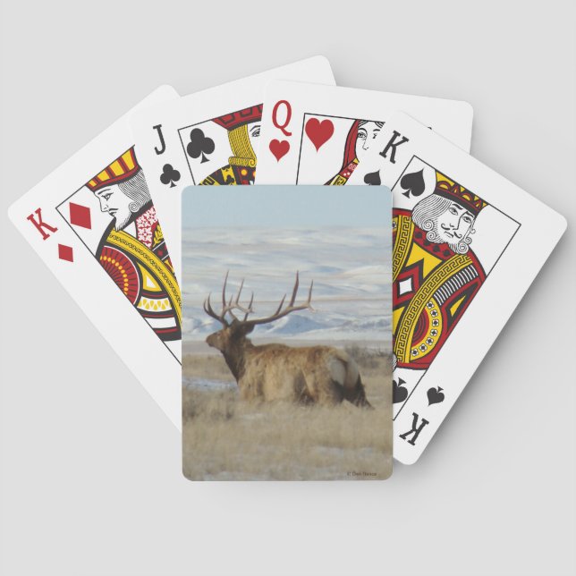 E22 Elkbulle och snöiga kullar Casinokort (Baksidan)
