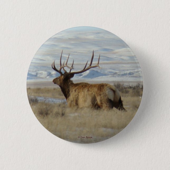 E22 tjurälg och snöiga kullar knapp (Framsida)