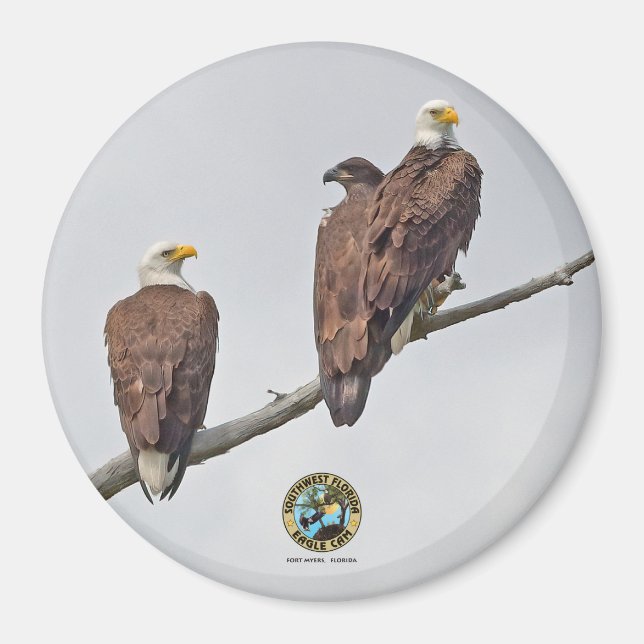 E23 & Family- M15, F23 och First Eaglet Magnet (Framsidan)