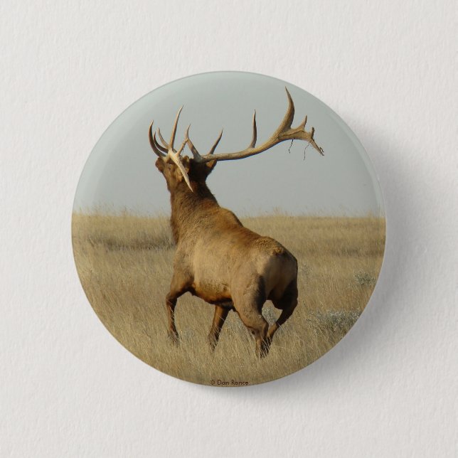 E23 Wapiti Gräs i hornen Knapp (Framsida)