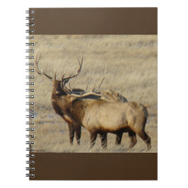 E24 Bull Elk Anteckningsbok