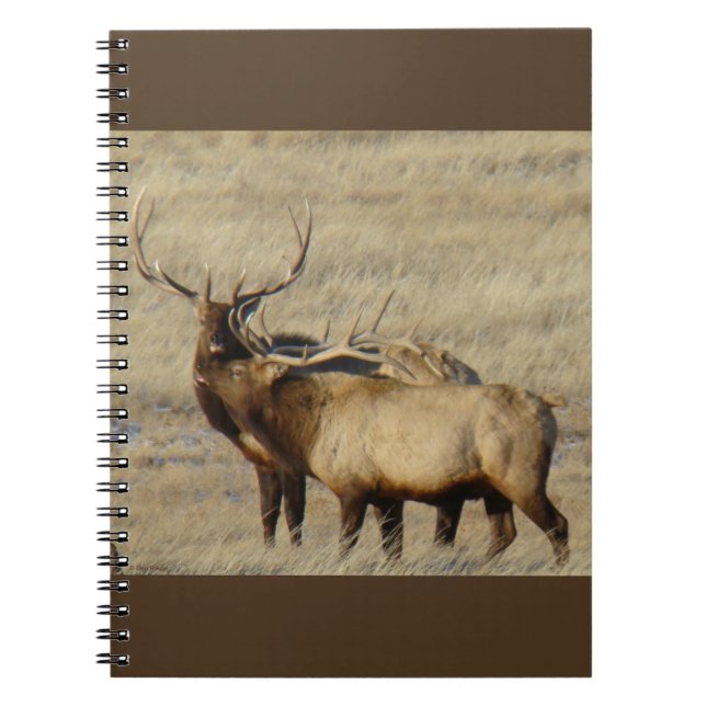E24 Bull Elk Anteckningsbok (Framsidan)