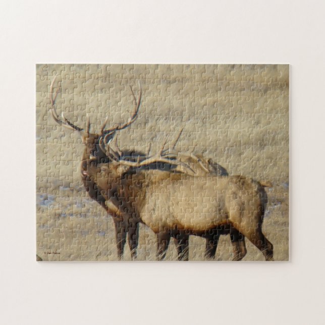 E24 Bull Elk Pussel (Horisontell)