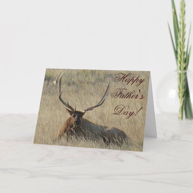 E25 Bull Elk Lay Kort (Framsida)