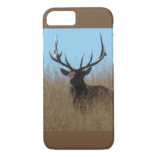 E26 Bull Elk i Ogräs Case-Mate iPhone Skal (Baksida)