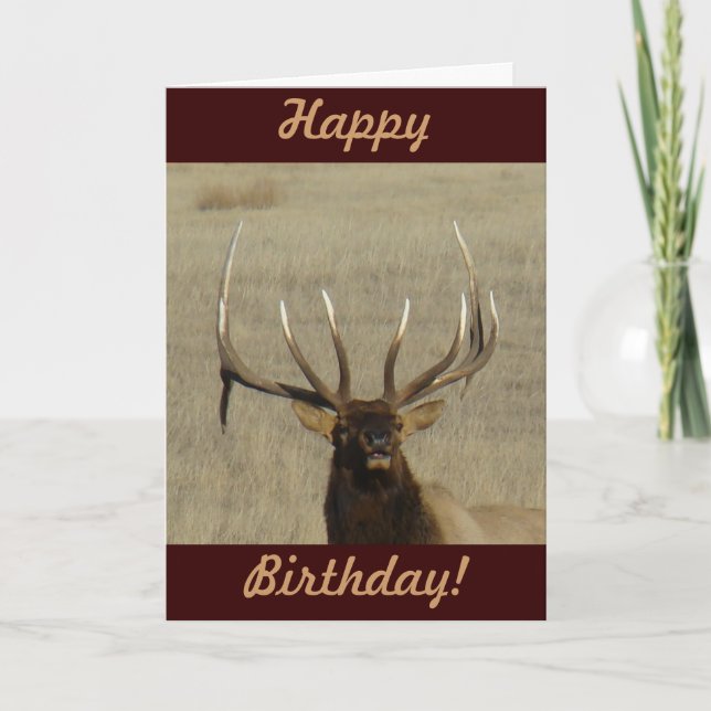 E29 Bull Elk Head Kort (Framsida)