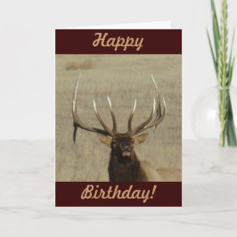 E29 Bull Elk Head Kort